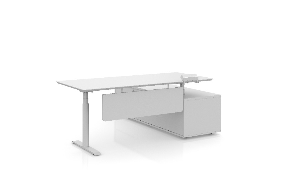 Executive Standing Desk Pro Executive Standing Desk Pro